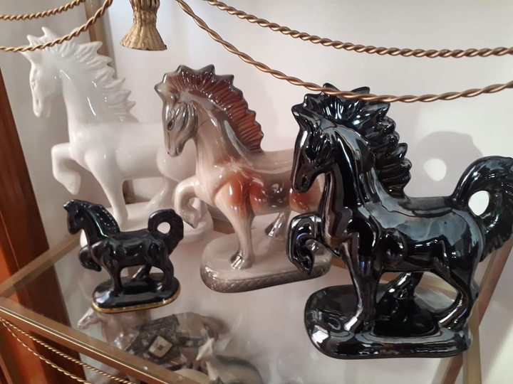 Cavalos