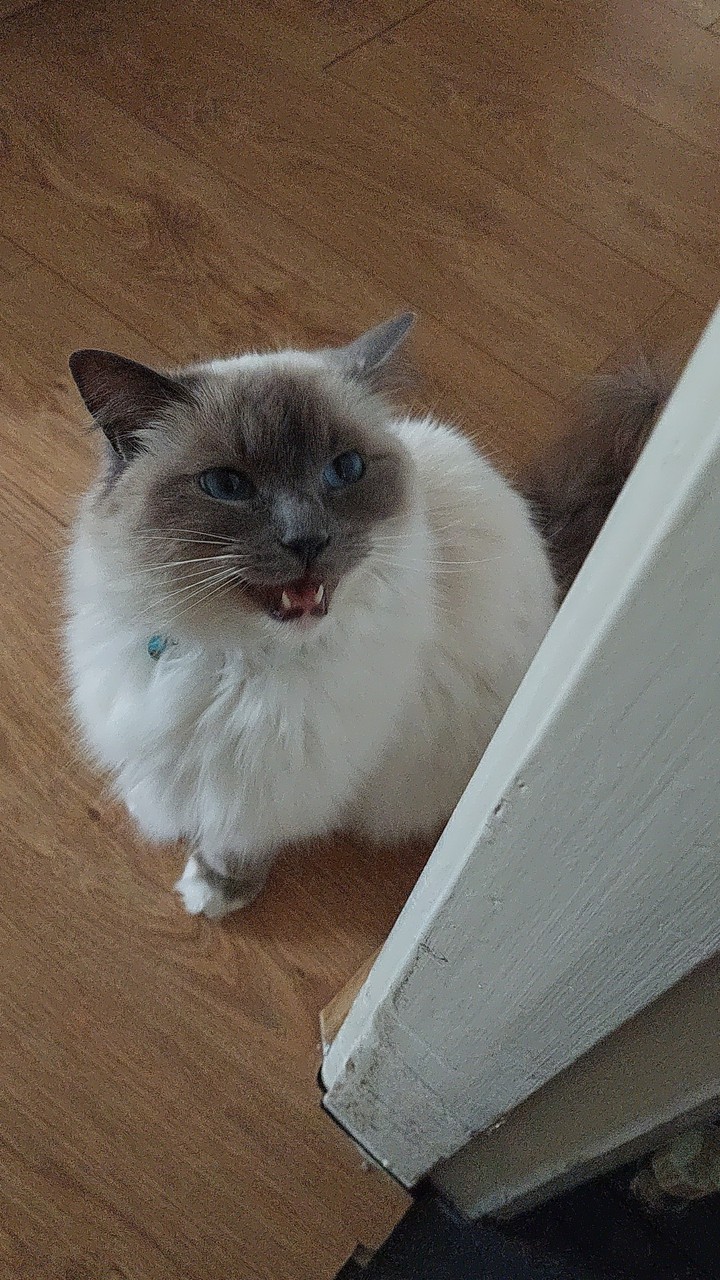 you ever feeding me?