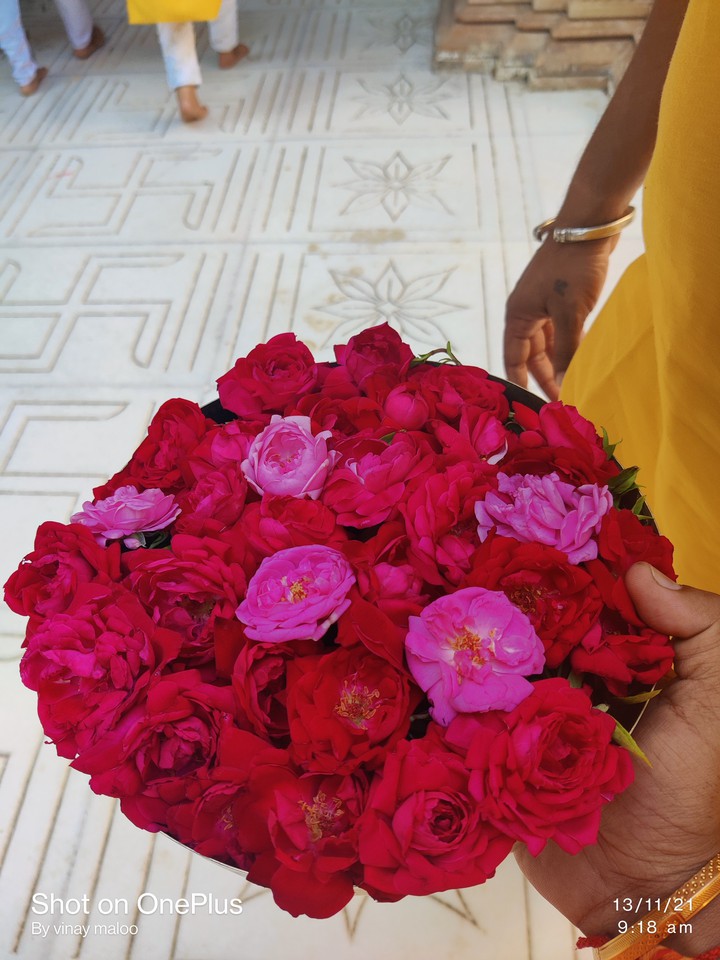 flower