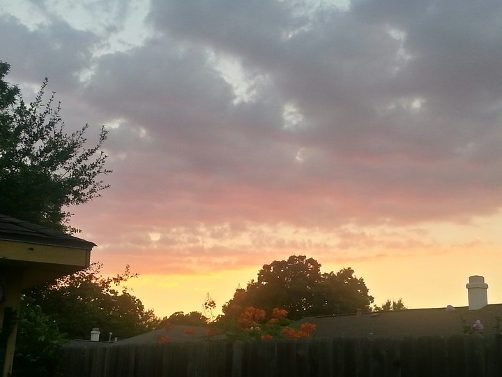 Beauty After the Rain