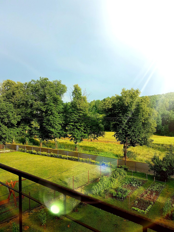 early summer
