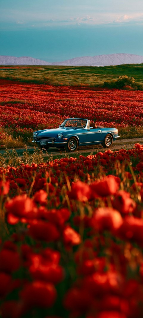 wildflower, Hood wallpapers