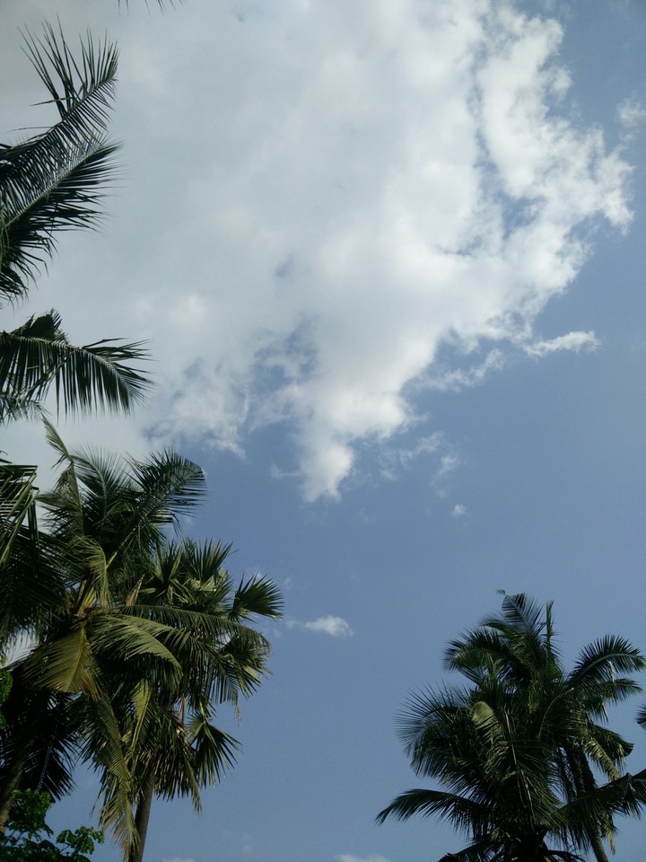 Blue sky