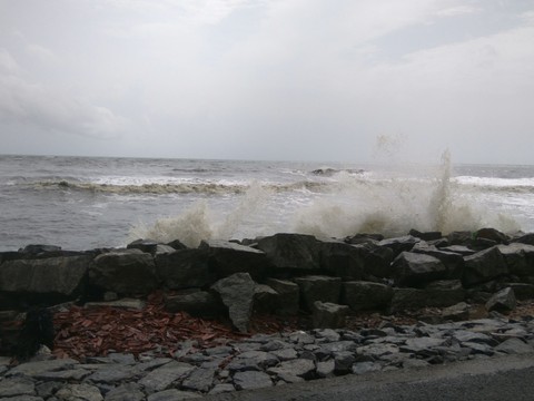 Waves