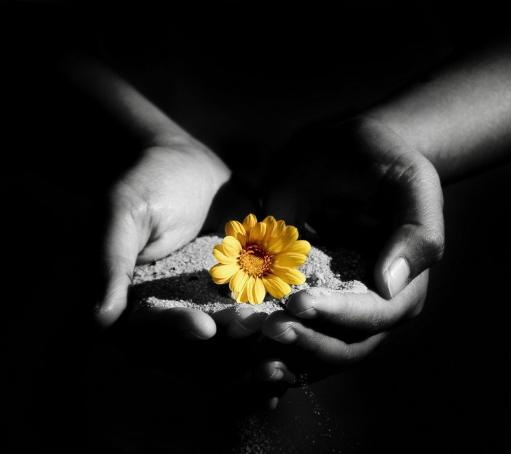 Yellow Flowers