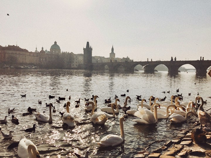 Morning in Prague