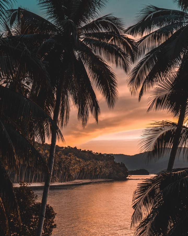 nature