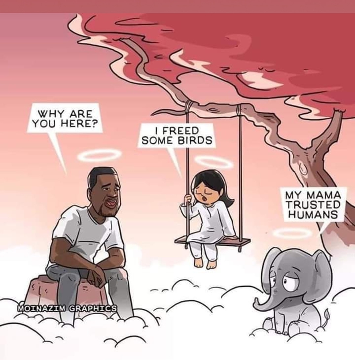 .