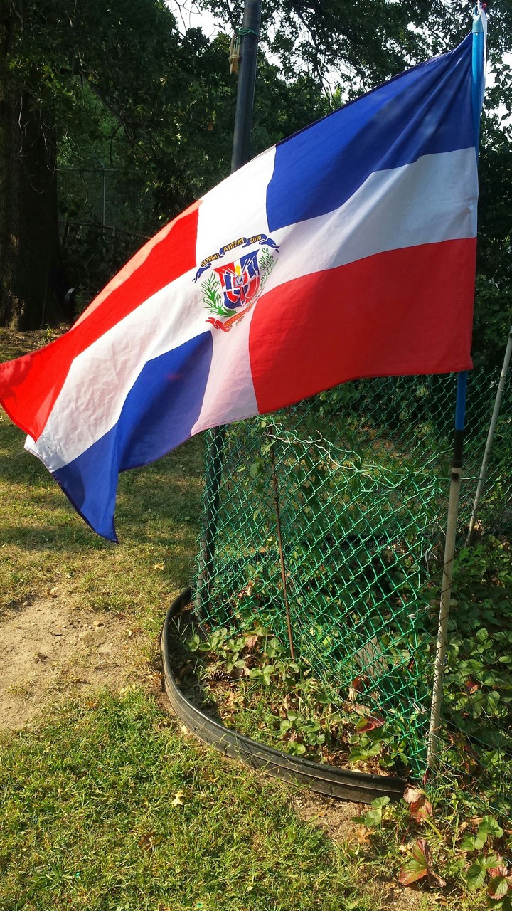 Dominican Flag