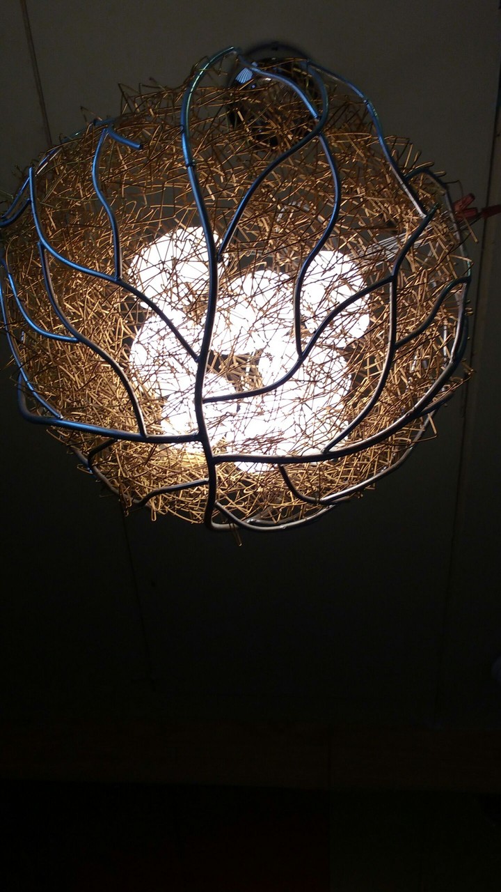 Egg-Lighted
