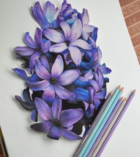 hyacinth, flower achtergronden