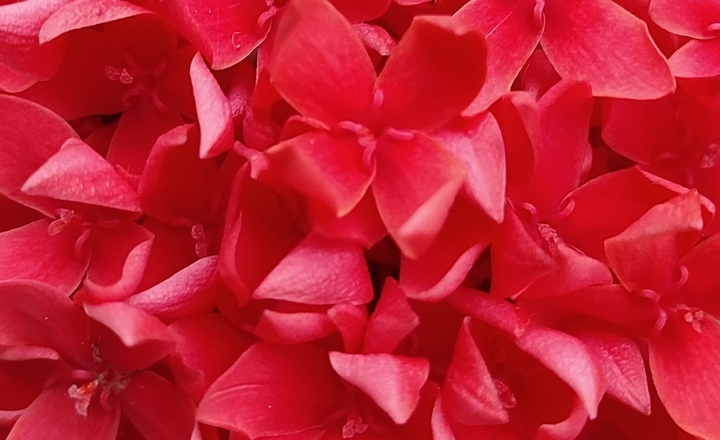 texture