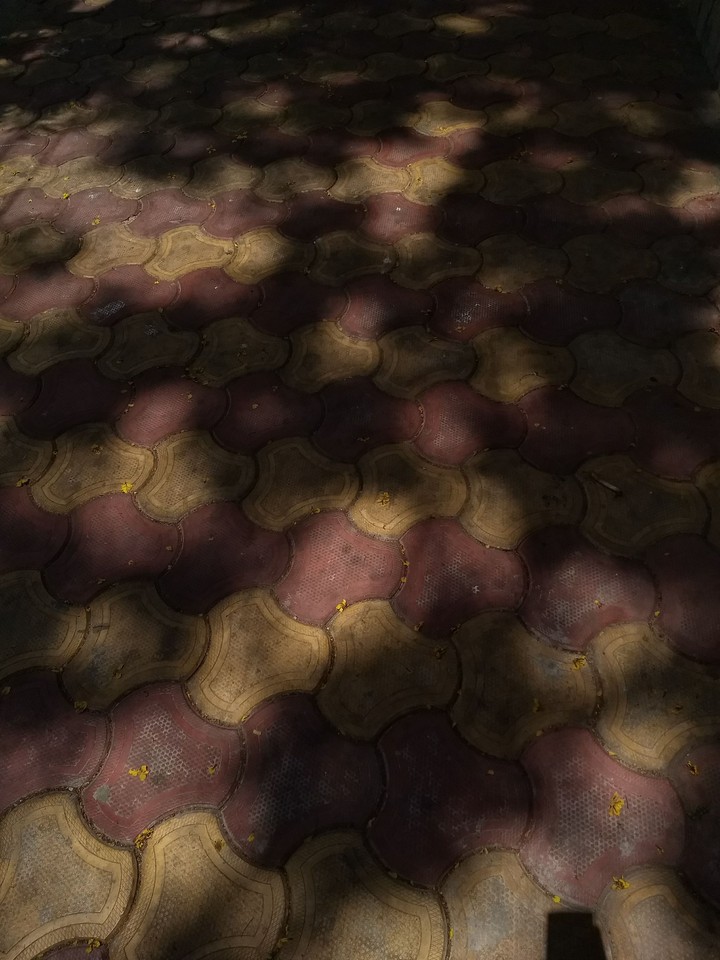 light & shadows