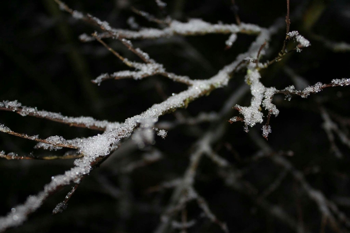 First Snow