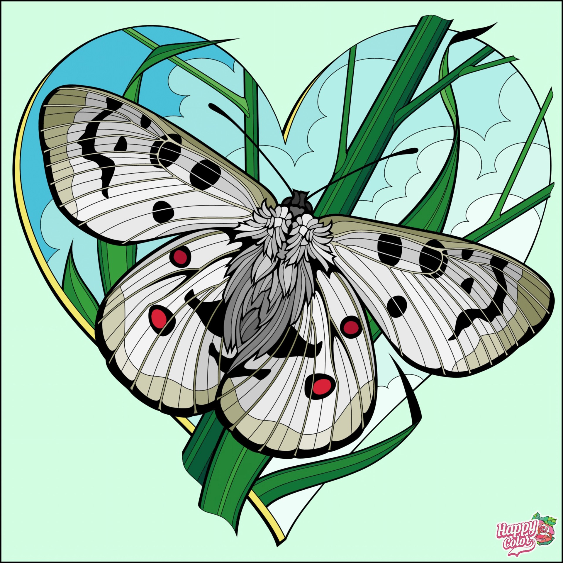 symmetry, pollinator achtergronden