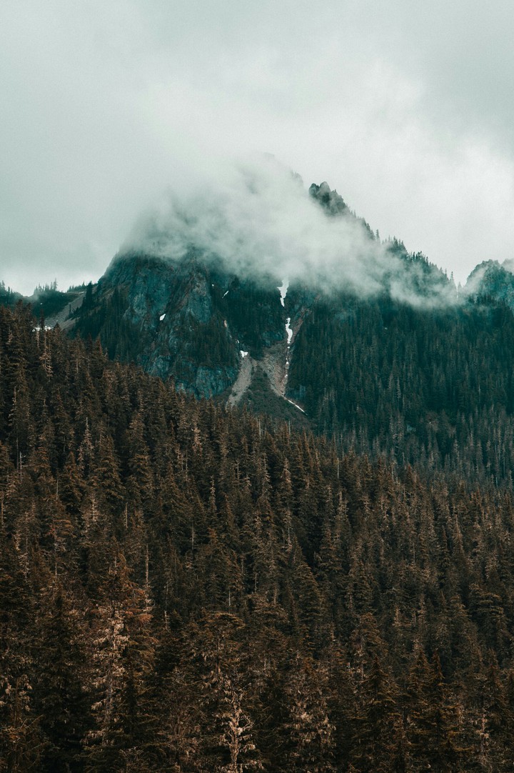 Misty Mountain
