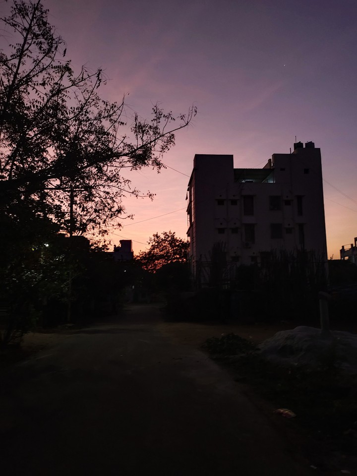 Early morning walk