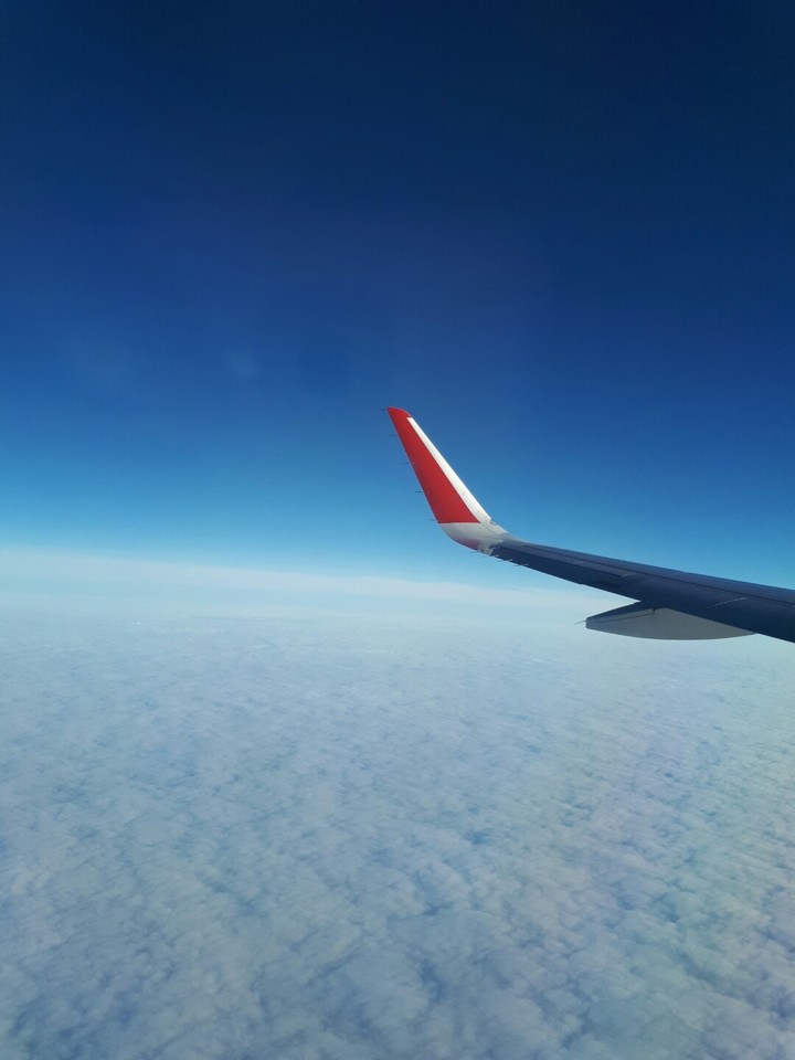 fly
