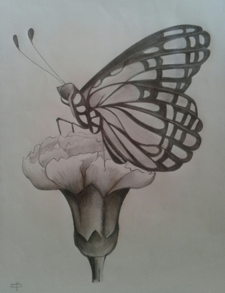 sketchbook