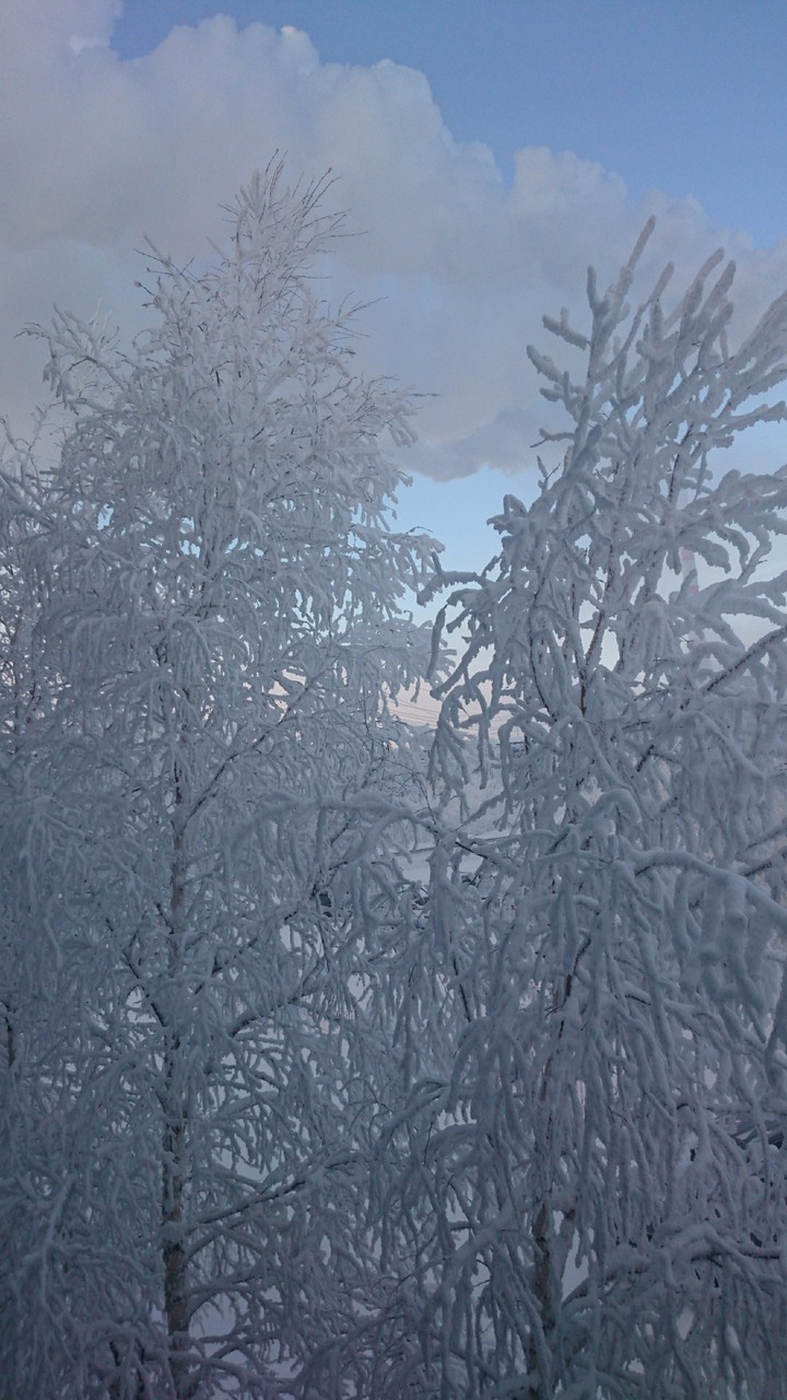 Красота в снегу