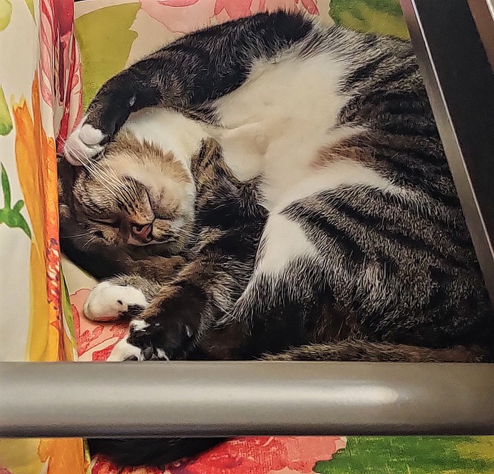 Sleeping Beauty