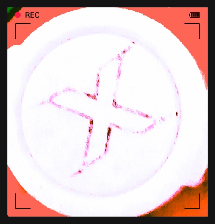 x is the best