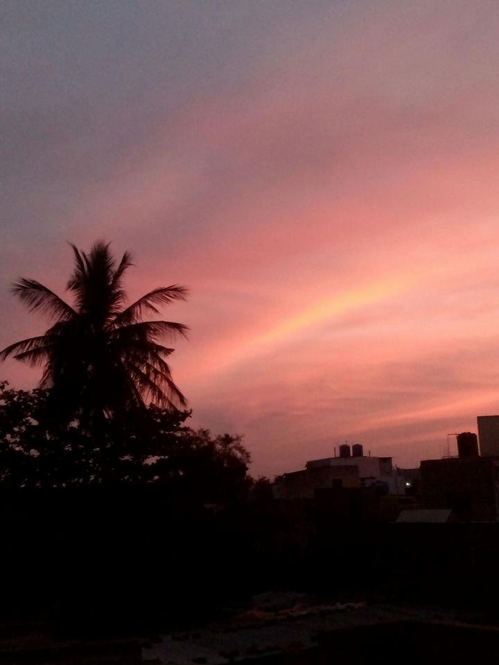 sunset
