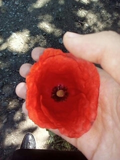 Мак