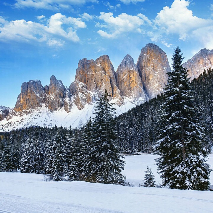 Natur