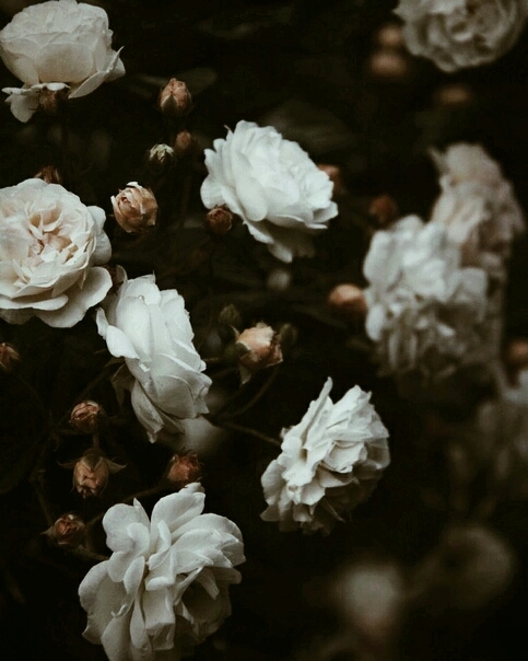 Summertime sadness