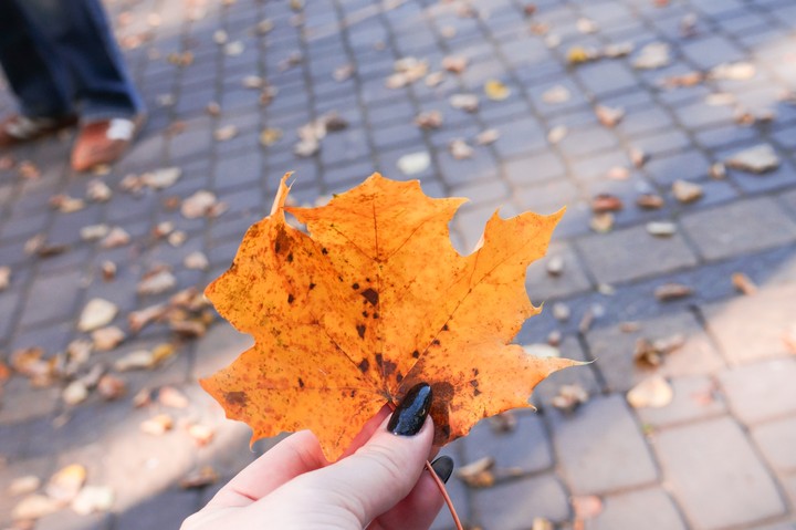 Autumn