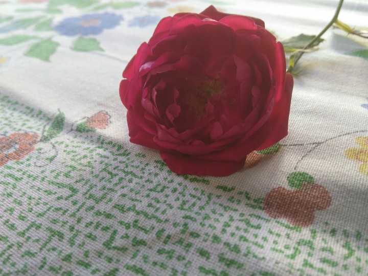 for you a