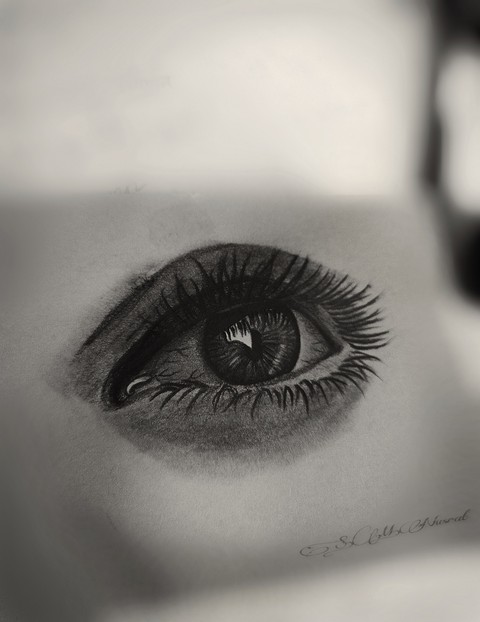 Eye