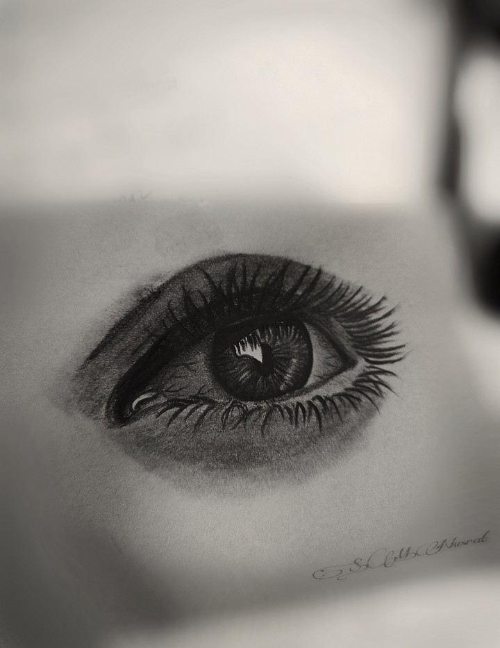 Eye