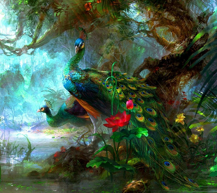 Natura