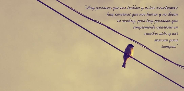 recordar