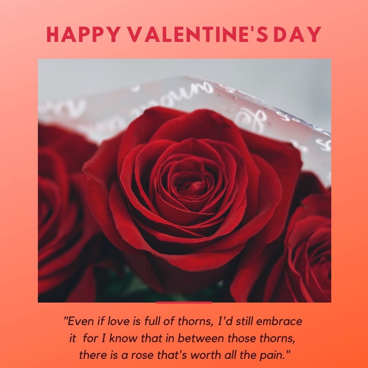 roses ?