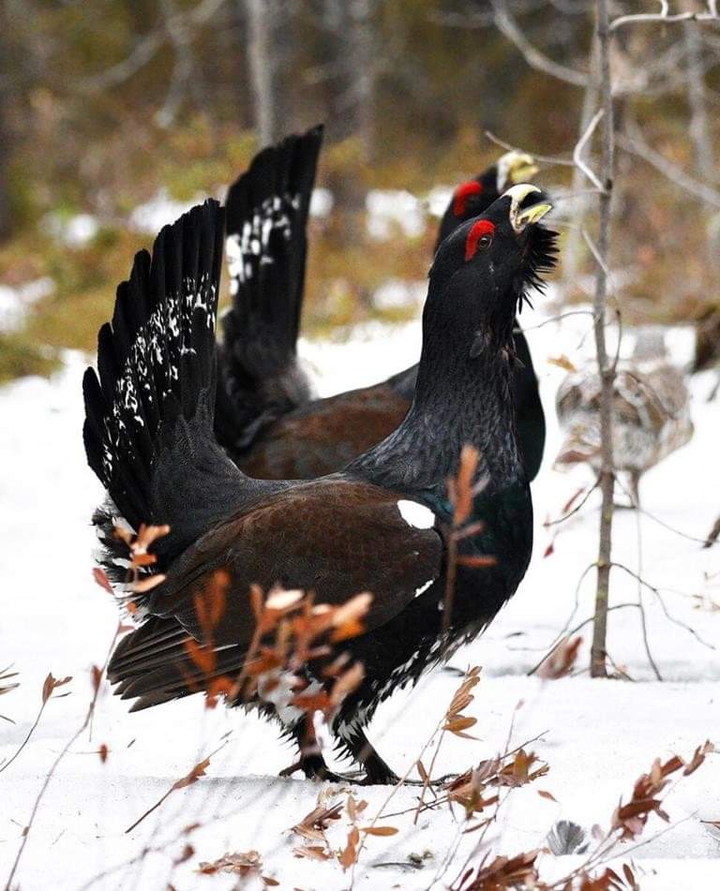 КРАСИВО ИЗ ЖИЗНИ