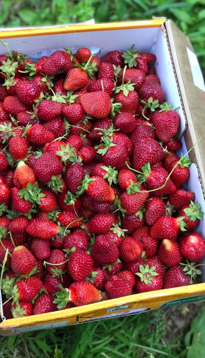 strawberry