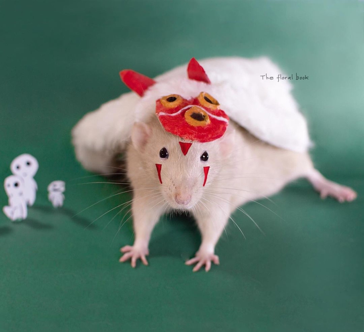Mouse cosplayer