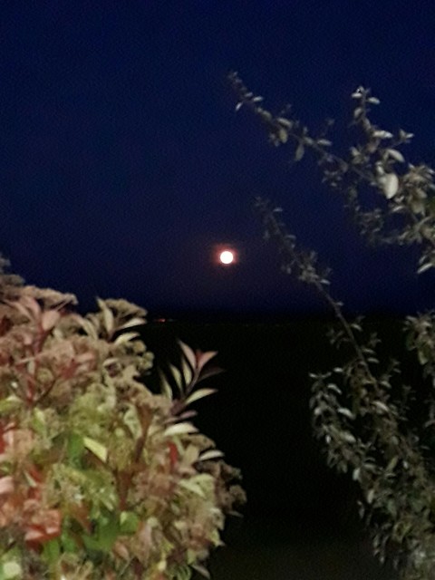 La pleine lune rose