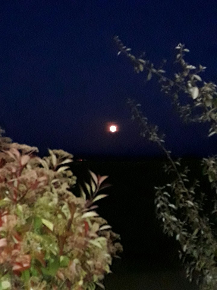 La pleine lune rose