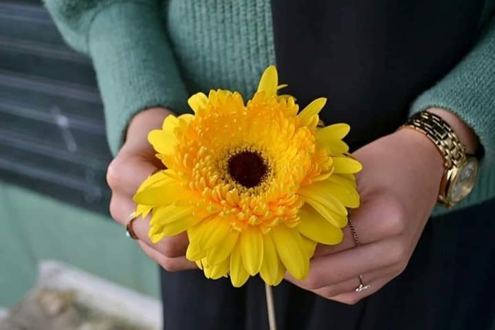 yellow