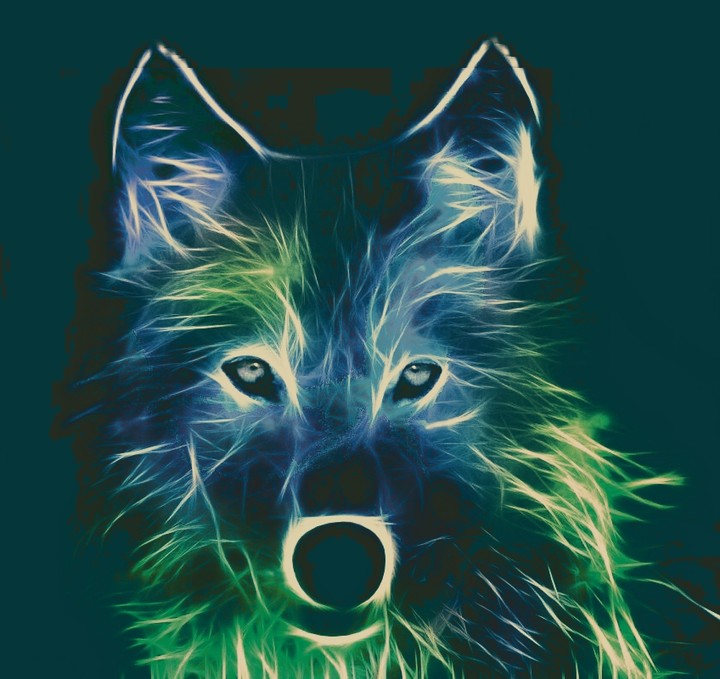 The Wolf