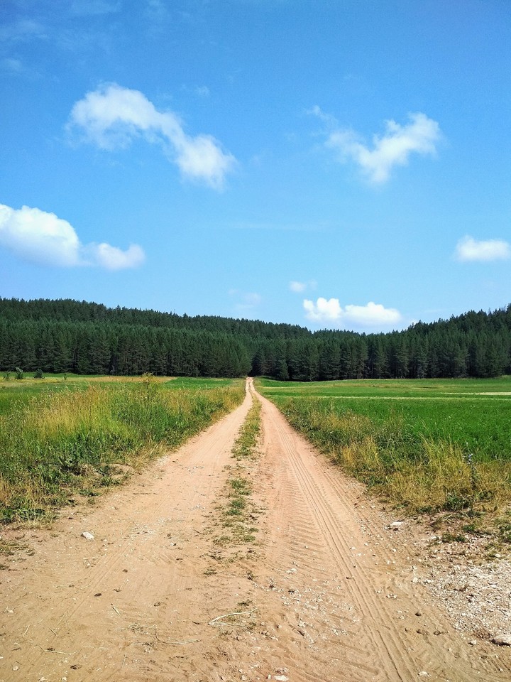 Дорога