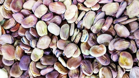 רקעים produce, food