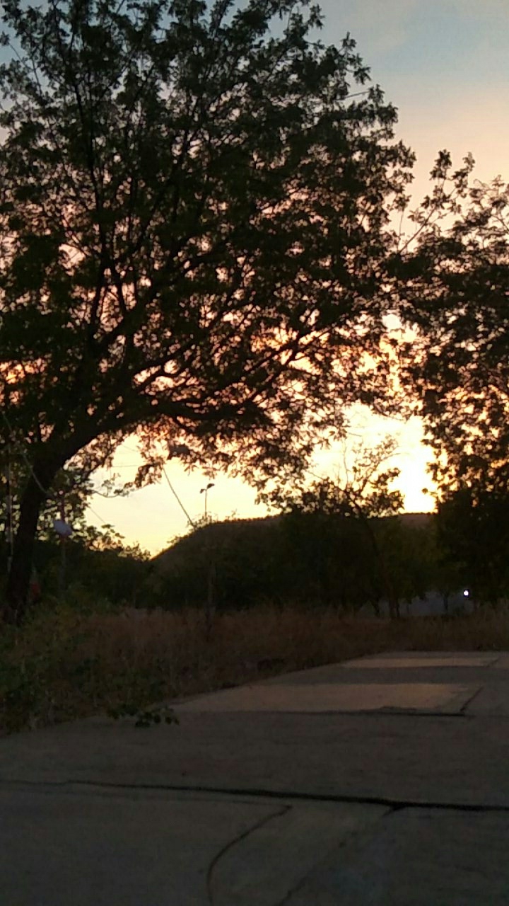 sunset