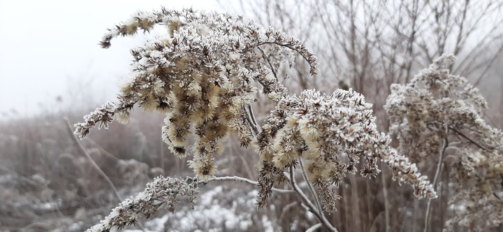 Usual fogy winter day