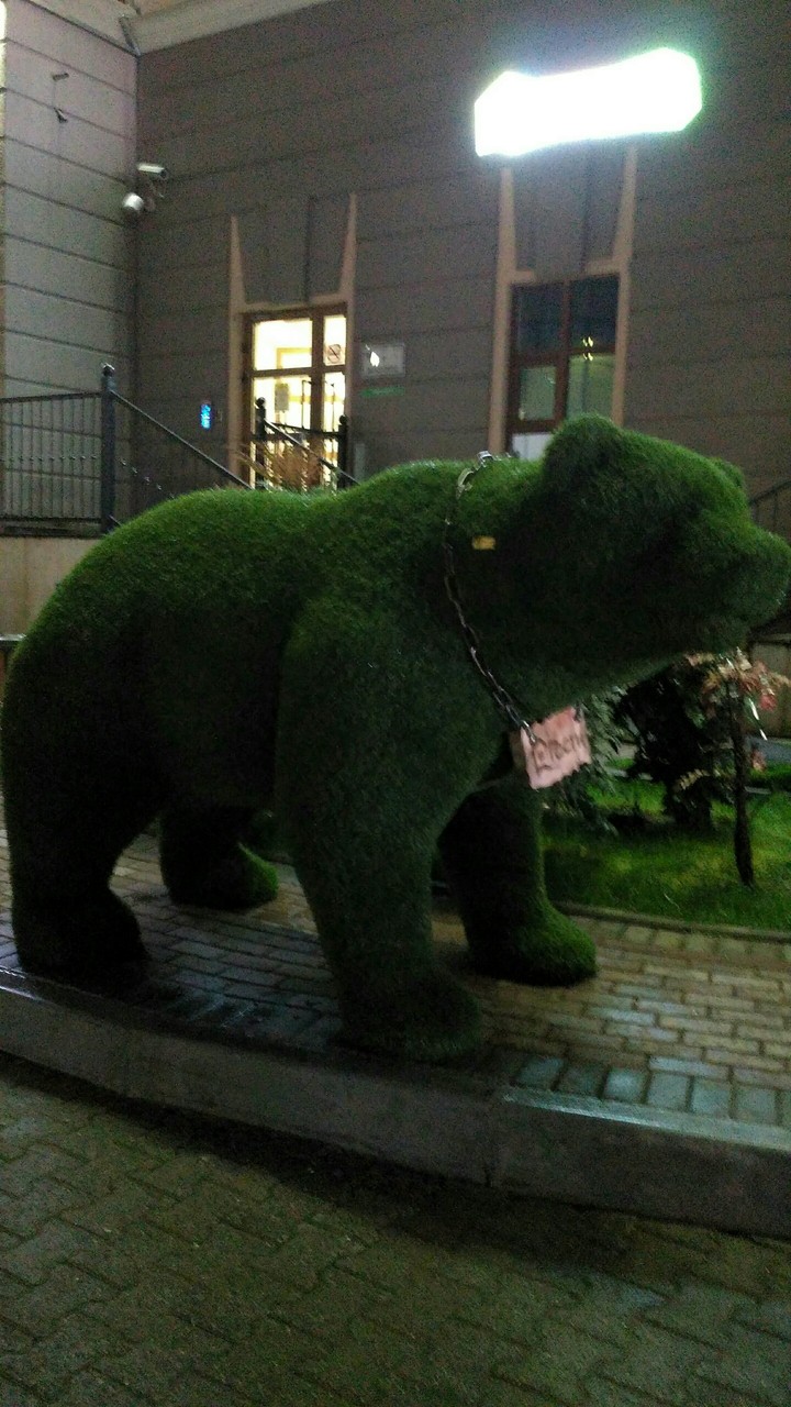 зеленый мишка