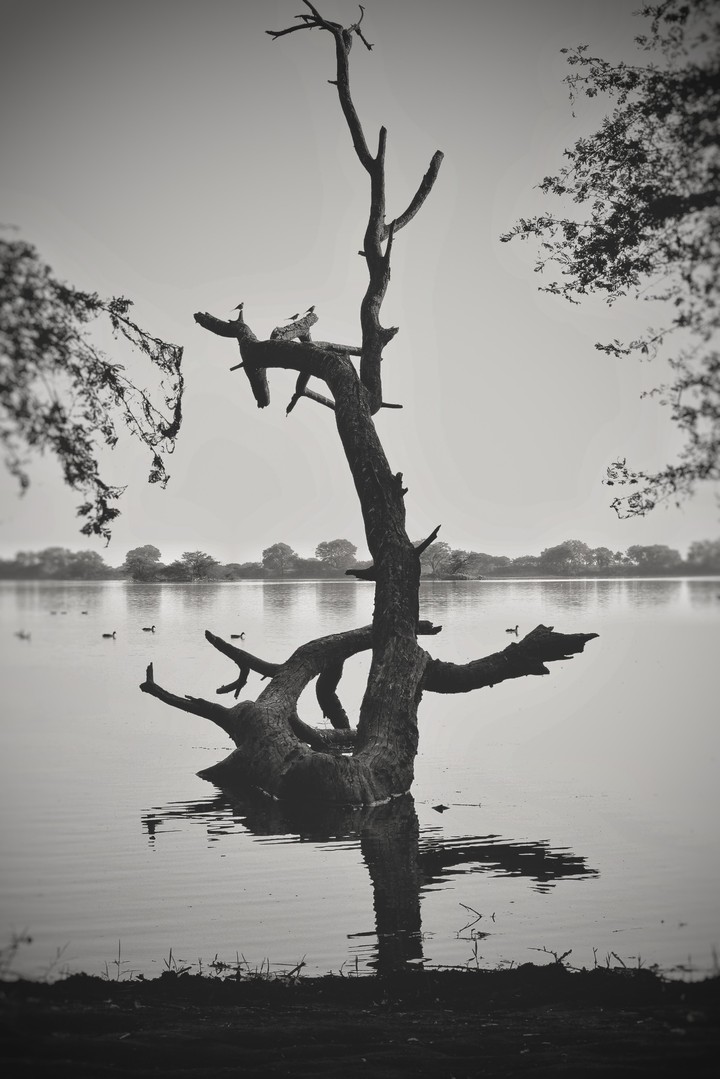 Lost